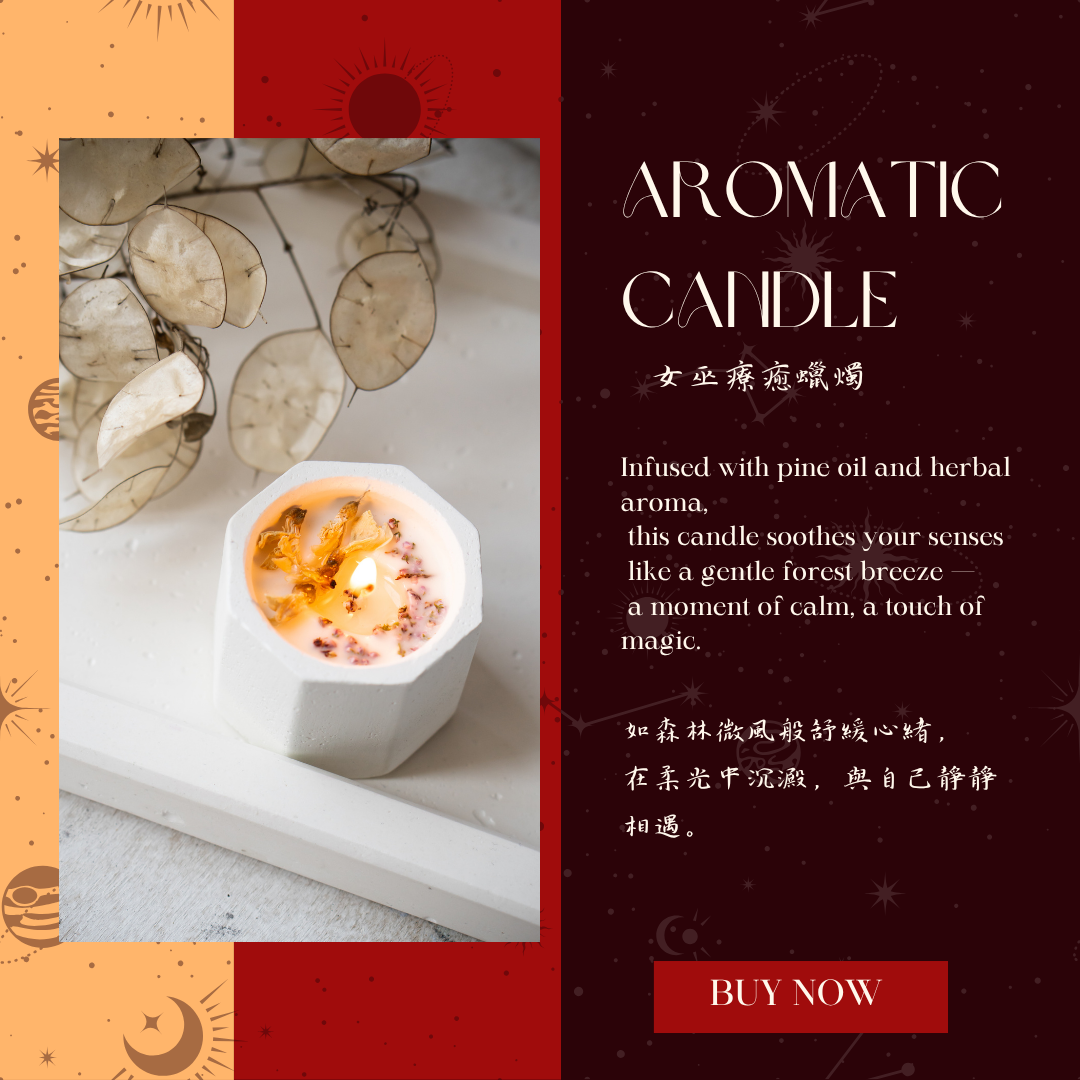 🌹 The Key to Stars: Unveiling the Magic of 'Basic' vs. 'Special' Editions